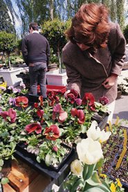 X FLORES NEGOCIO ESTABLECIMIENTO TIENDA VENTAS CONSUMO